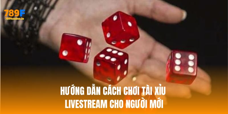 Hướng dẫn cách chơi tài xỉu livestream cho người mới